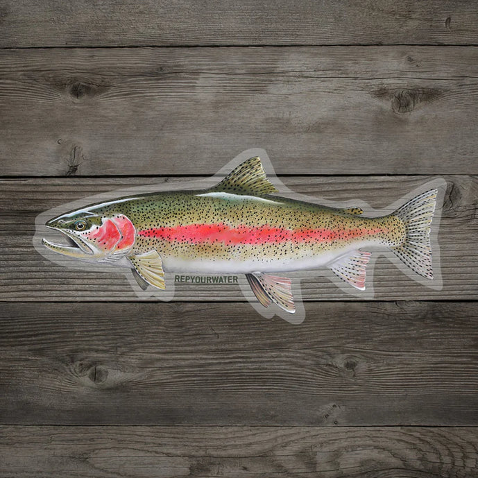 Rep Your Water "Cold Water Rainbow" Sticker