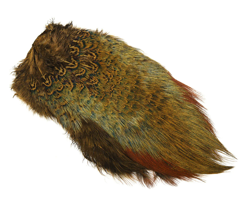 Ringneck Pheasant Rump Patch in brown – warm-toned feathers with natural barring and subtle iridescence for traditional nymphs and wets.