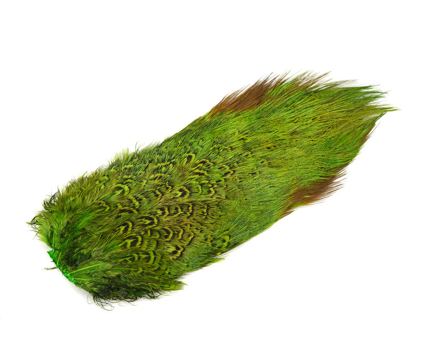 Ringneck Pheasant Rump Patch dyed fluorescent chartreuse/insect green – bright, barred feathers with natural sheen for standout fly tying accents.