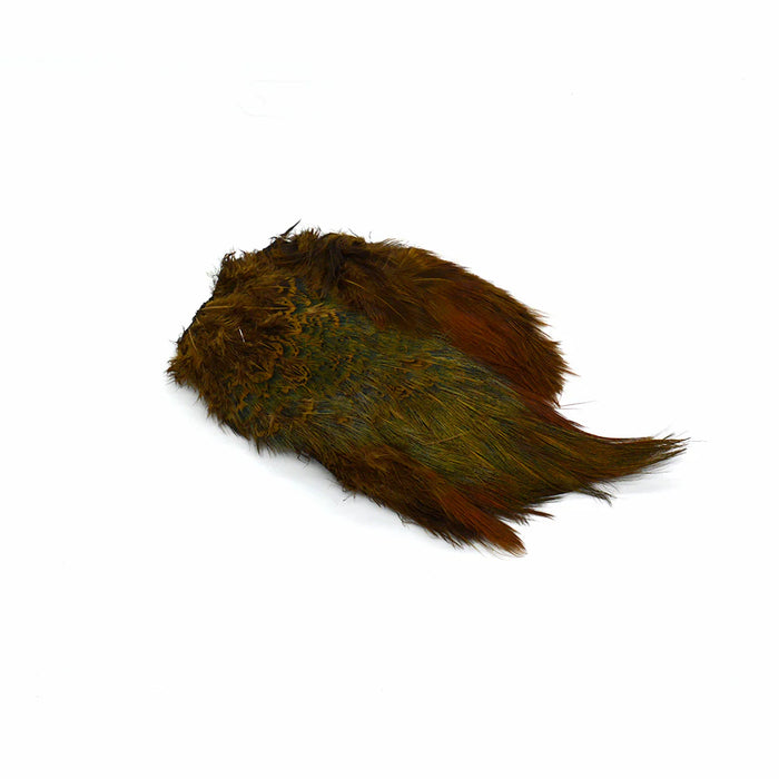 Ringneck Pheasant Rump Patch dyed Galloup’s Brown Olive – earthy green-brown tones with a mottled finish, ideal for naturalistic streamer collars and buggy legs.