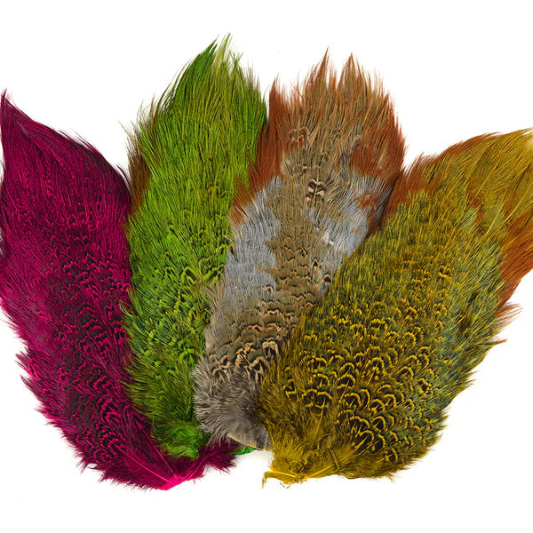 Ringneck Pheasant Rump Patch by Nature’s Spirit – a natural patch featuring soft, iridescent feathers with barred tips, perfect for wet fly collars, legs, and streamer accents.