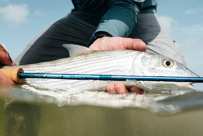 Sage Signal // Saltwater Fly Rod