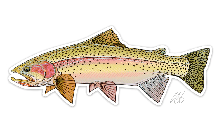 Casey Underwood Cutbow Decal