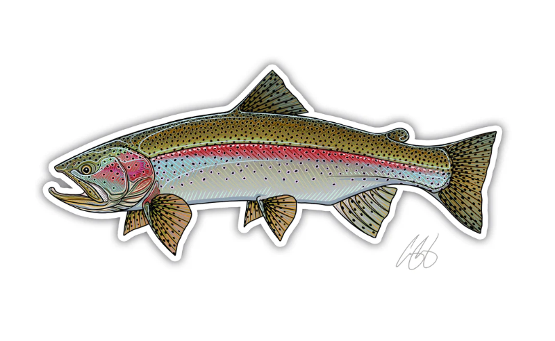 Casey Underwood Rainbow Trout Decal