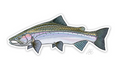 Casey Underwood Steelhead Decal