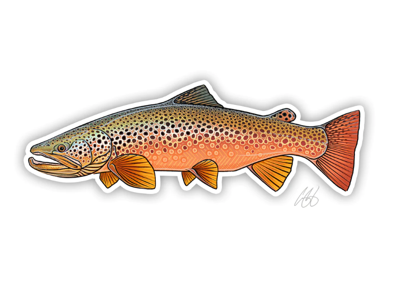Casey Underwood Autumn Brown Trout Decal