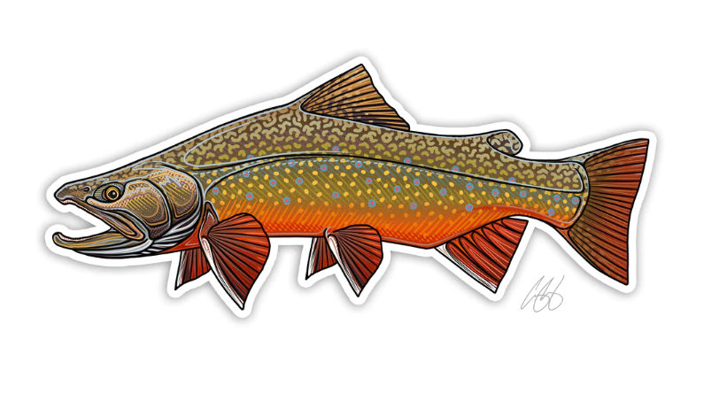 Casey Underwood Brook Trout Decal