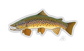Casey Underwood Brown Trout Decal