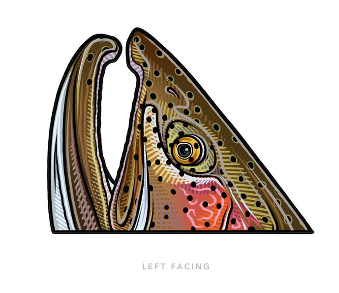 Casey Underwood Rainbow Rise Decal
