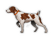 Casey Underwood Brittany Spaniel Decal