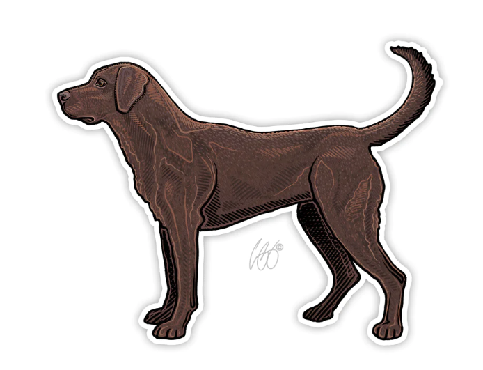 Casey Underwood Chocolate Lab Decal