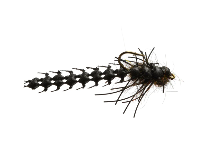 Wilson's Turbomite - Black by Rainy's