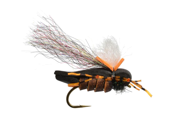Mason's Hipster Doofus Cicada by Rainy's