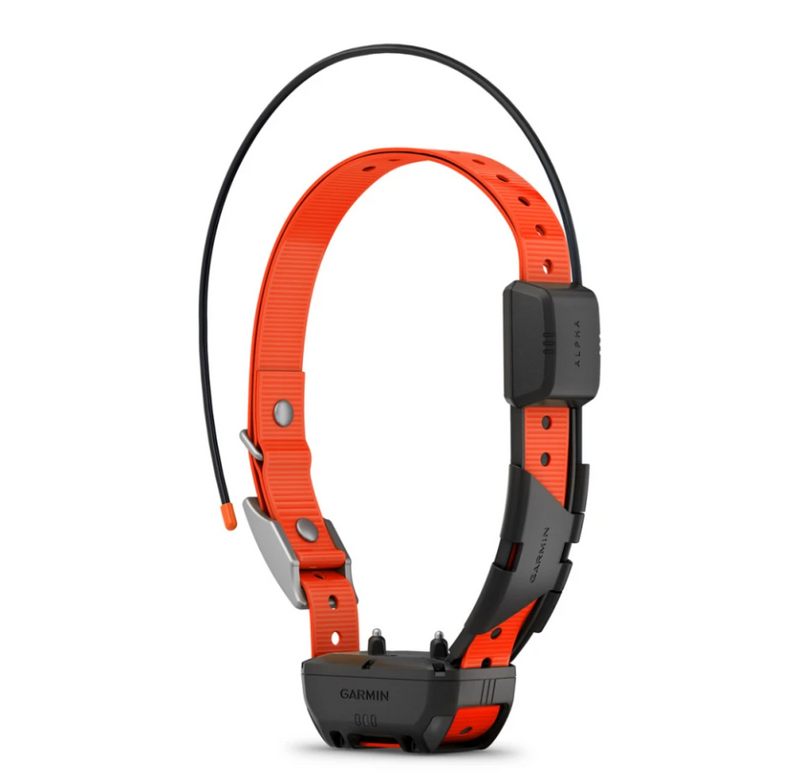 Garmin Alpha TT 25 Dog Collar