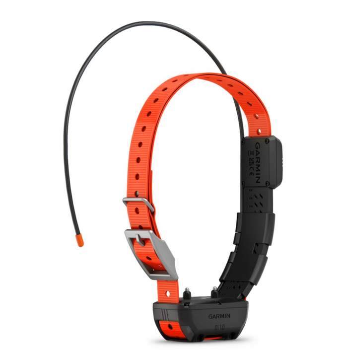 Garmin Alpha TT 25 Dog Collar
