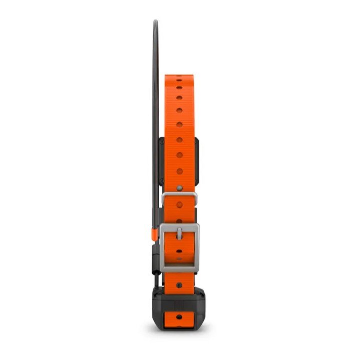 Garmin Alpha TT 25 Dog Collar