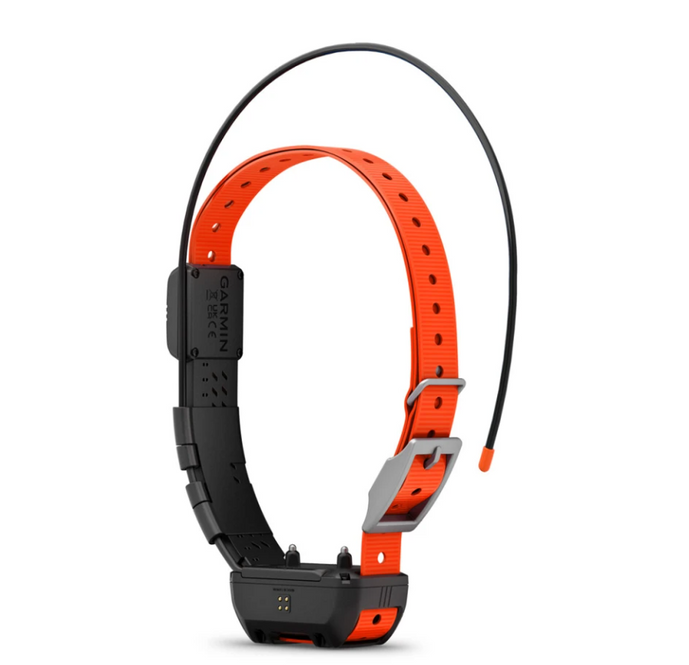 Garmin Alpha TT 25 Dog Collar