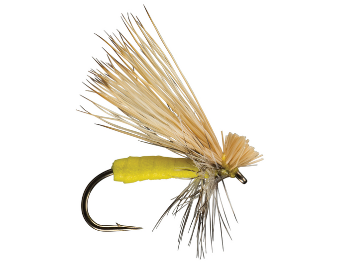 RIO's Better Foam Caddis