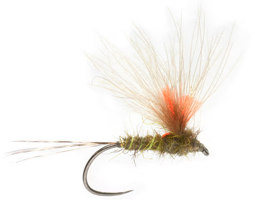 Olsen's Performance Enhancing Dun