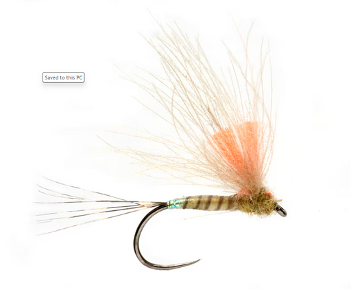 Olsen's Performance Enhancing Dun