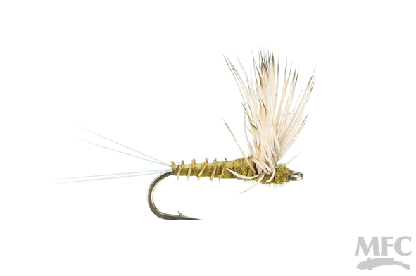 Comparadun BWO By Montana Fly Company