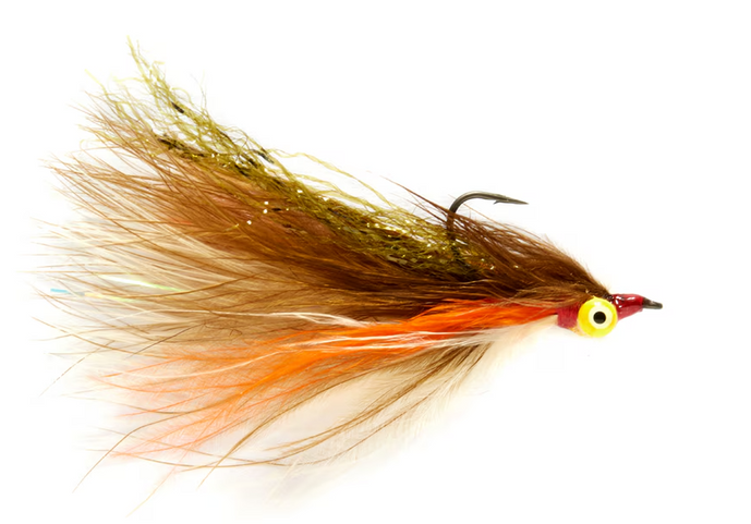 Elden's Shiner Minnow by Fulling Mill