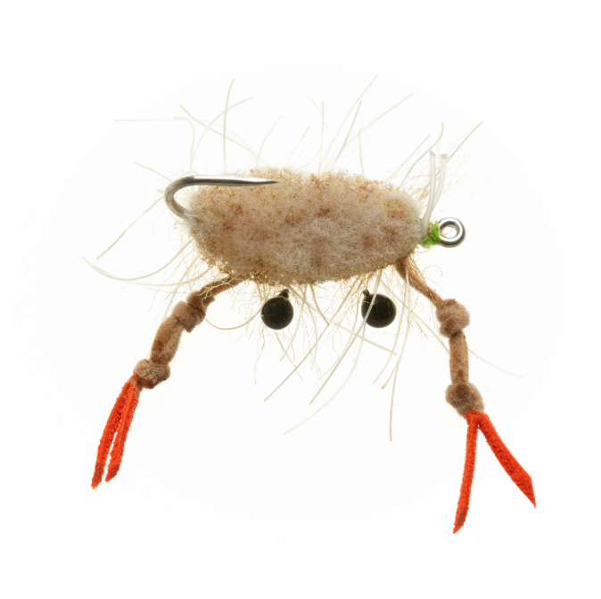 EP Fleeing Crab By EP Flies