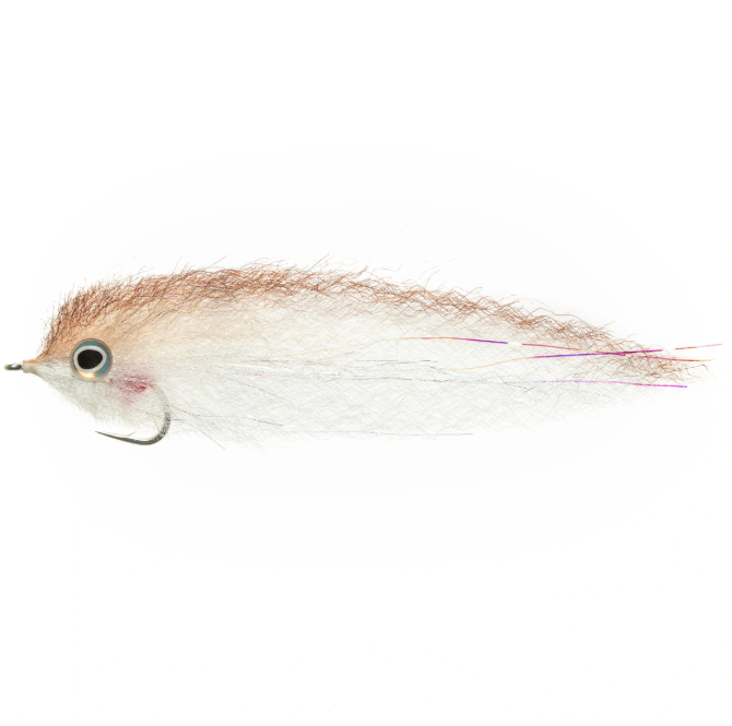 Roosterfish By EP Flies