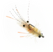 The Mantis Shrimp By EP Flies