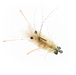 The Mantis Shrimp By EP Flies