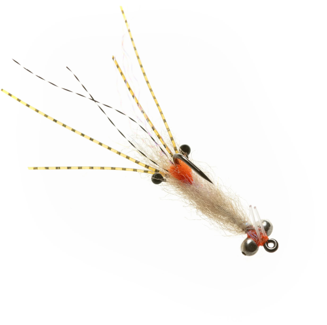 The Spawning Shrimp By EP Flies