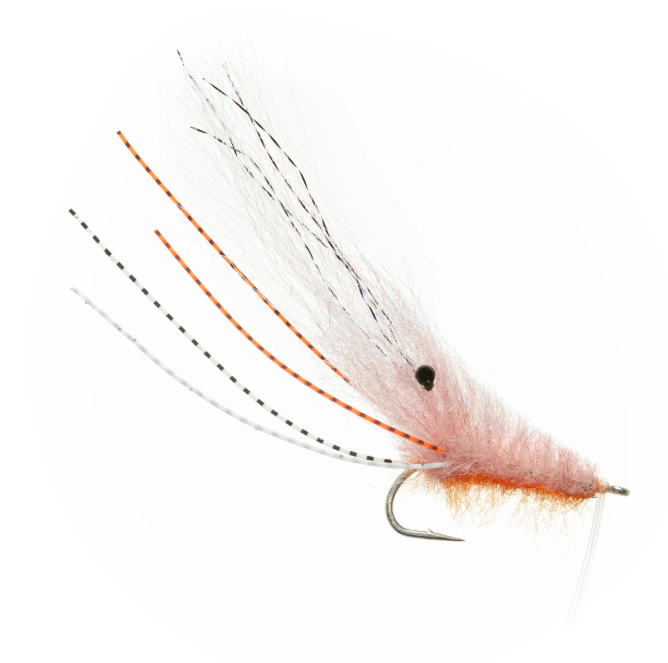 EP Ultra Shrimp By EP Flies