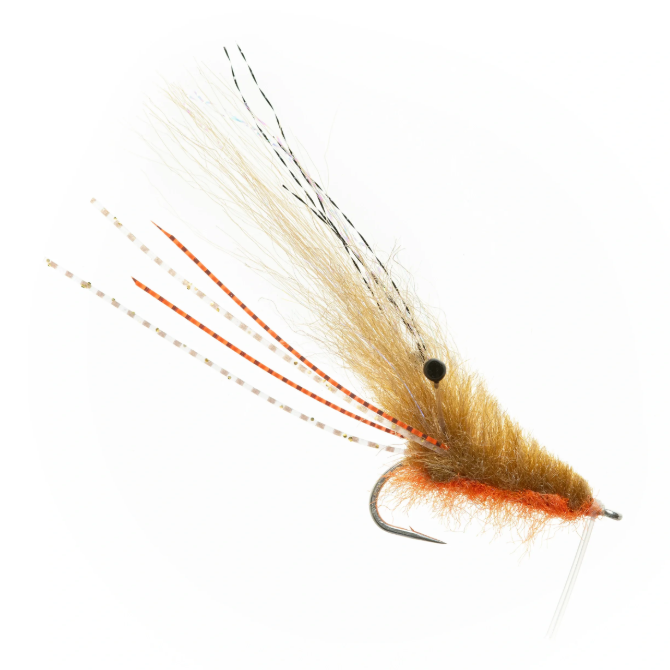 EP Ultra Shrimp By EP Flies