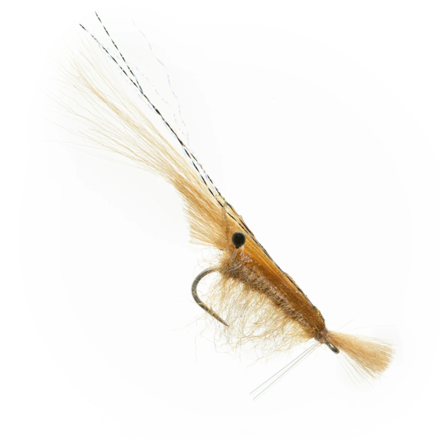 Grass Shrimp By EP Flies