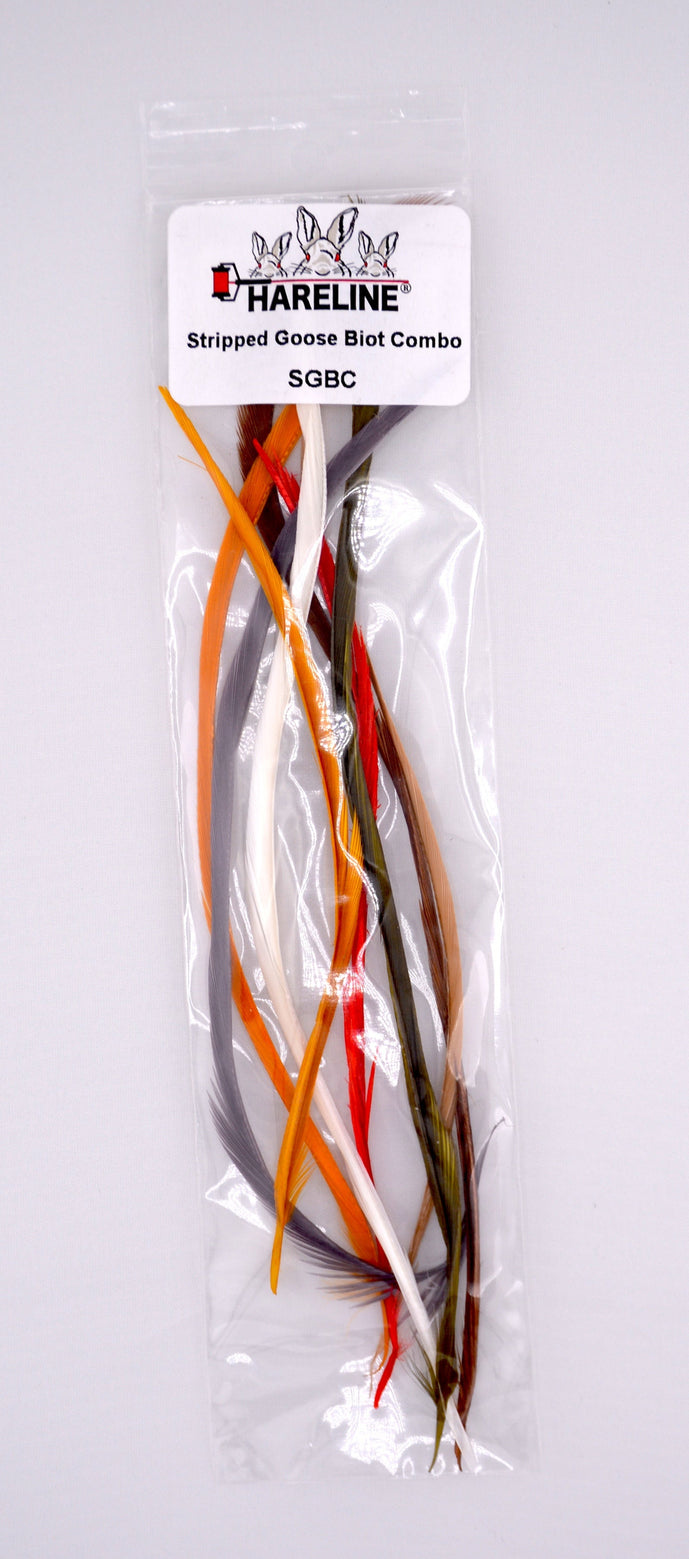 Stripped Goose Biot Combo Pack by Hareline – assorted dyed goose biots ideal for tails, wing cases, and segmented fly bodies with natural taper and texture.