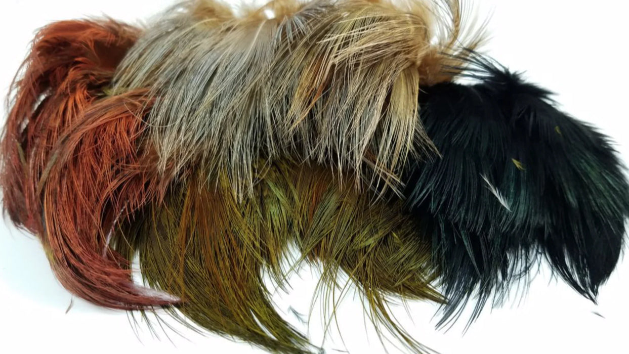 Fish Hunter Strung Ringneck Pheasant Rump Hackle by Nature’s Spirit – soft, iridescent feathers with natural barring, strung for convenience and ideal for collars, throats, and wet fly accents.