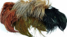 Fish Hunter Strung Ringneck Pheasant Rump Hackle by Nature’s Spirit – soft, iridescent feathers with natural barring, strung for convenience and ideal for collars, throats, and wet fly accents.