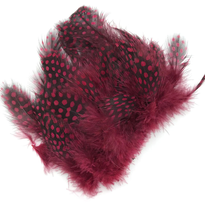 Hareline Strung Guinea Feather in Claret – rich, deep red feather with classic guinea spotting, ideal for traditional salmon flies, spey patterns, and moody wet fly designs.