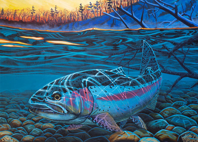 DeYoung Sunrise Steelhead Canvas Print