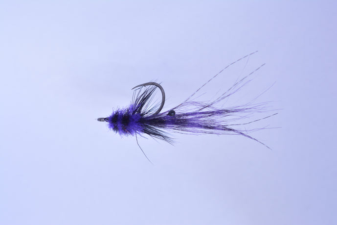Rondeau's Tarpon Toad
