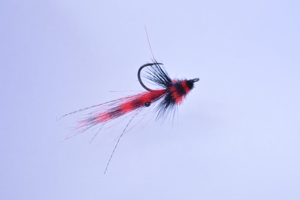 Rondeau's Tarpon Toad