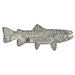 Fishpond "Topo Trout" Sticker
