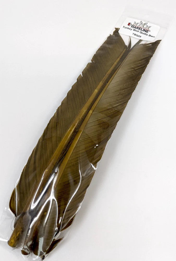 Turkey Biot Quills by Hareline – natural feather fibers ideal for tying segmented fly bodies, wing cases, and nymph legs with crisp definition and durability.