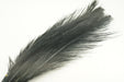 UV2 Raptor Hackle in black – essential dark hackle with strong silhouette and movement for versatile fly patterns.