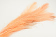UV2 Raptor Hackle in shrimp pink – soft pink hackle great for crustacean patterns and subtle saltwater flies.