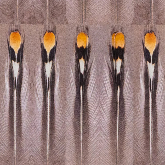Un-Real Jungle Cock by Aqua Flies – large synthetic jungle cock eyes with realistic detail for big intruders, classic streamers, and tube flies.