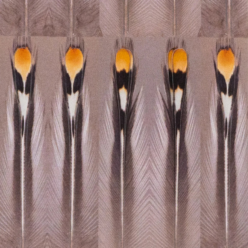 Un-Real Jungle Cock by Aqua Flies – large synthetic jungle cock eyes with realistic detail for big intruders, classic streamers, and tube flies.