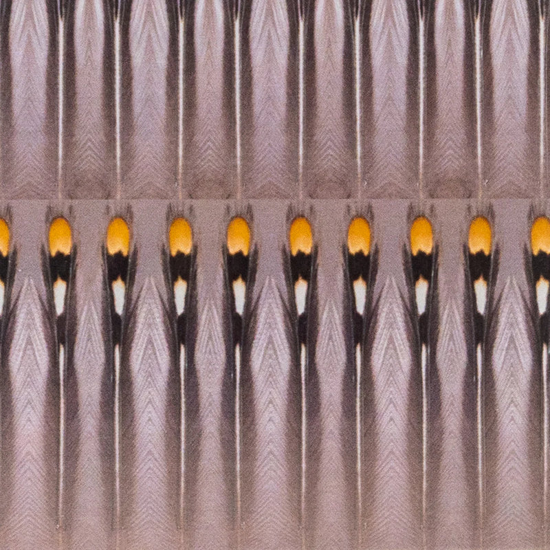 Un-Real Jungle Cock by Aqua Flies – medium-sized synthetic jungle cock substitute for traditional streamer cheeks and salmon fly accents.