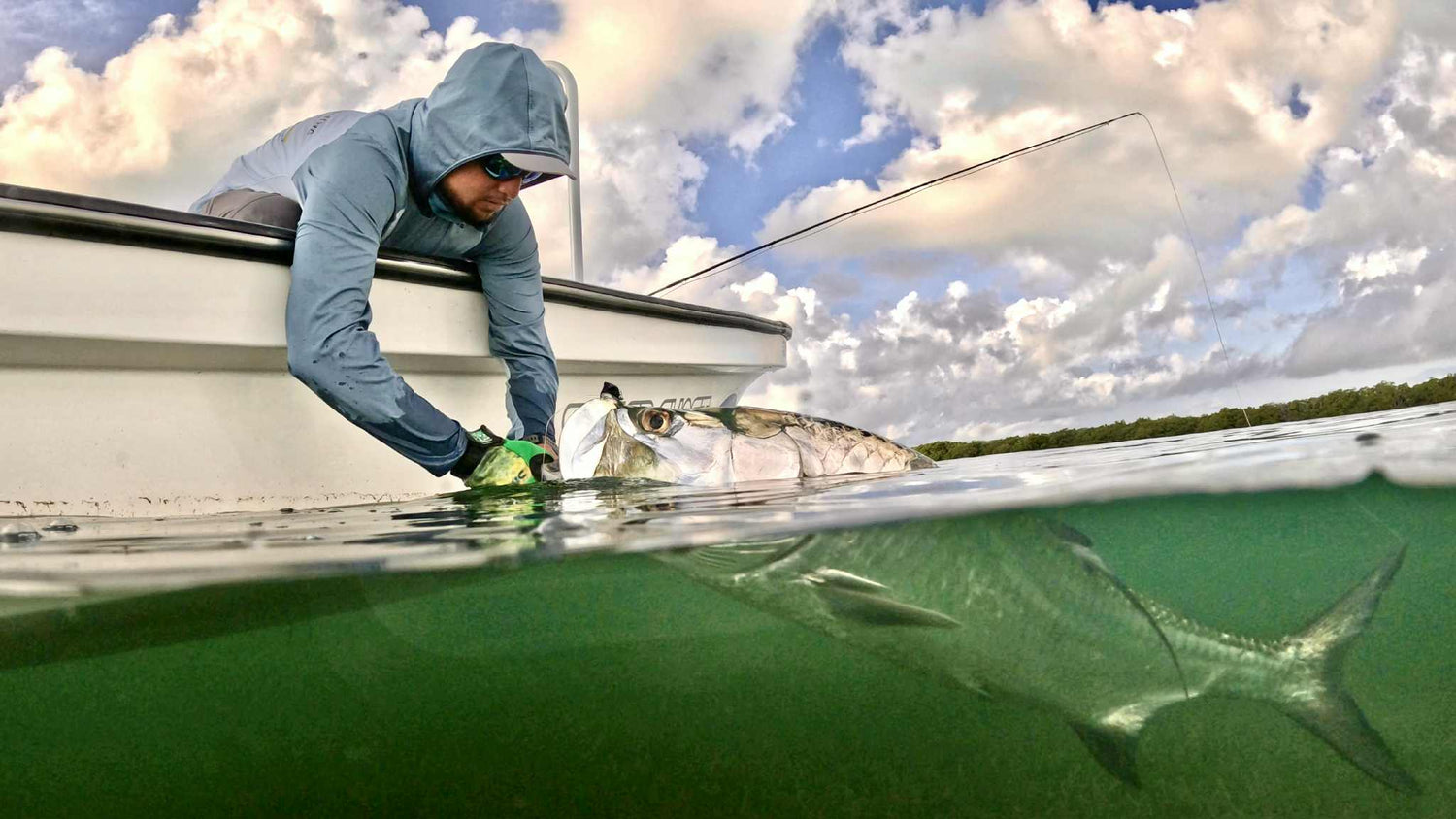 El Pescador Belize Tarpon Fishing