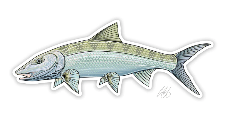 Casey Underwood Bonefish Decal — Red's Fly Shop
